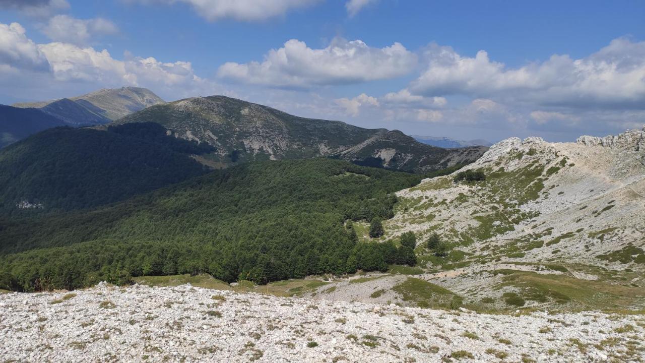 La Casina Gialla Villa Veroli Luaran gambar
