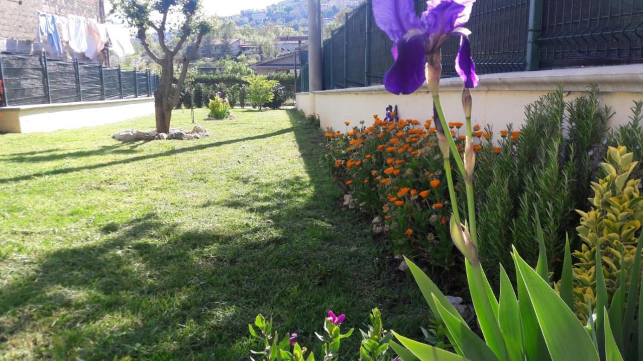 La Casina Gialla Villa Veroli Luaran gambar