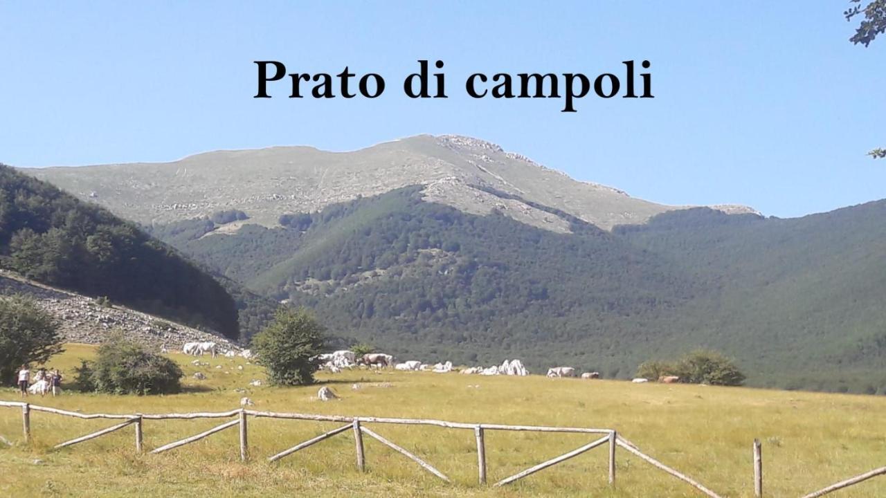 La Casina Gialla Villa Veroli Luaran gambar