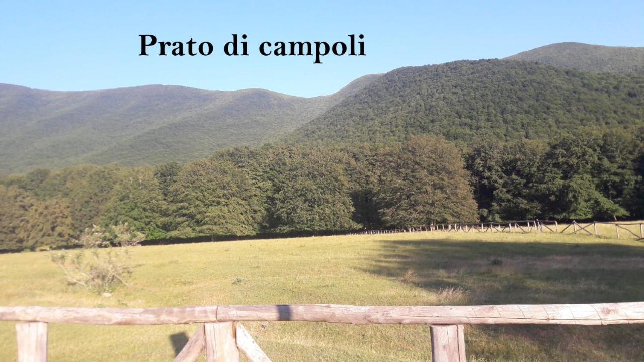 La Casina Gialla Villa Veroli Luaran gambar