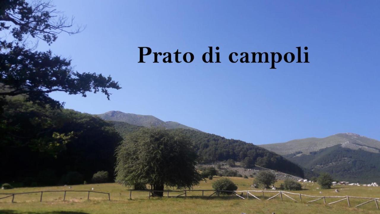 La Casina Gialla Villa Veroli Luaran gambar
